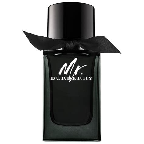 mr burberry eau de parfum 50ml|mr burberry perfume price.